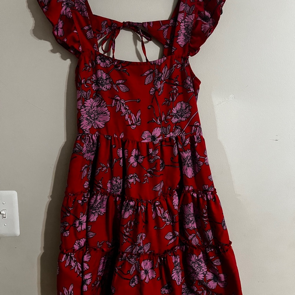 B.O.G. Collective Red and Pink Floral Mini Dress Sz XS